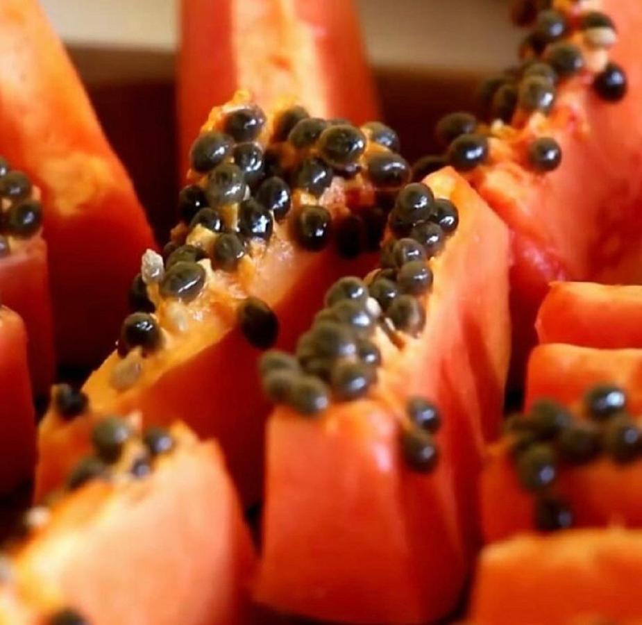 Pousada Maresia Do Sargi Uruçuca Kültér fotó